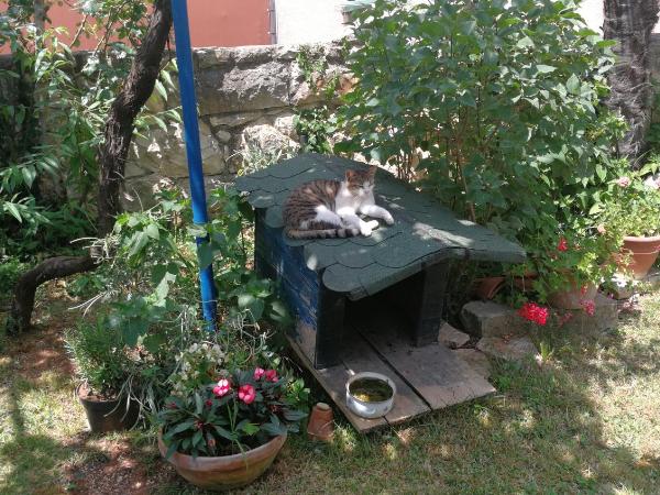 RIVAMARE - Rovinj : photo 2 de la chambre petite chambre double