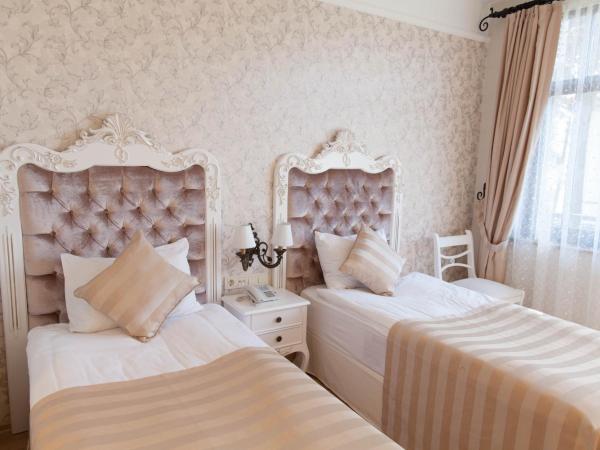 Aspen Hotel Kaleiçi : photo 7 de la chambre chambre double ou lits jumeaux deluxe avec balcon