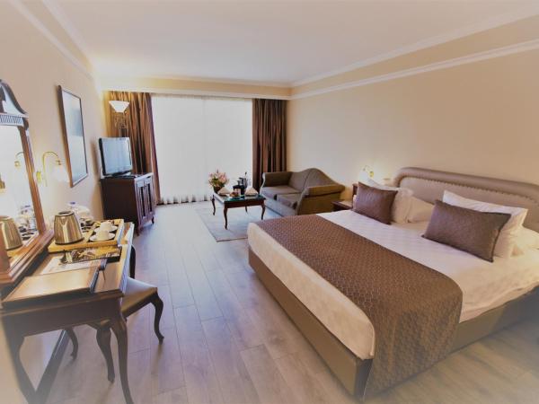 Karaca Hotel : photo 6 de la chambre chambre deluxe