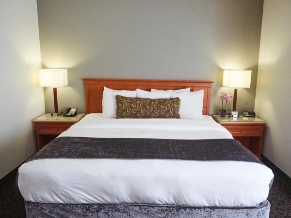 Radisson Hotel Portland Airport : photo 4 de la chambre suite 1 chambre lit king-size - non-fumeurs