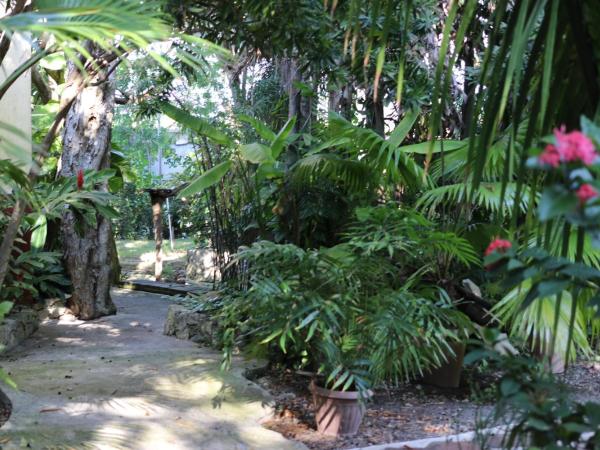 Casa Kin33 : photo 9 de la chambre bungalow standard avec ventilateur