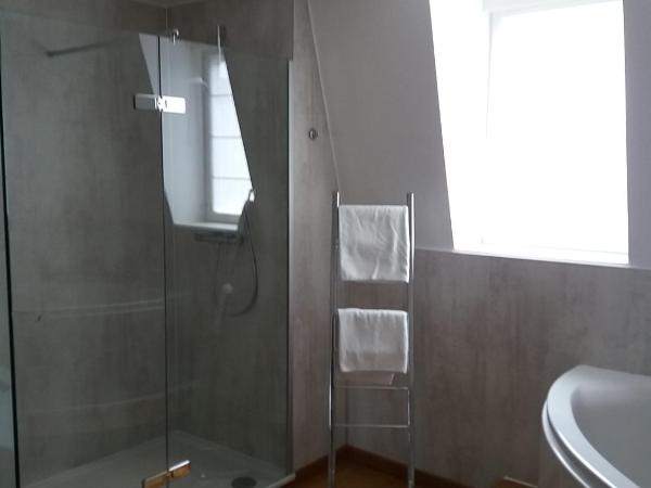 B&B Villa Des Raisins : photo 3 de la chambre double room - nuits saint georges