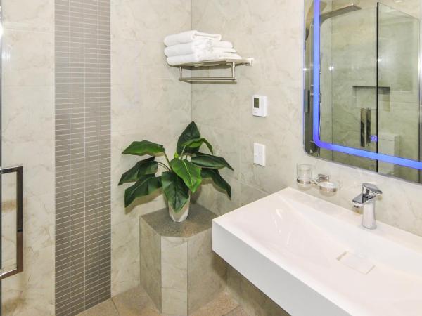 Newlands Court Motel : photo 7 de la chambre studio premium avec cuisine