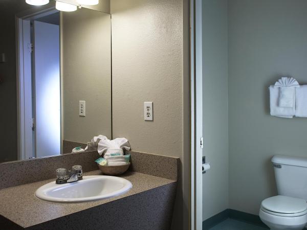 Aladdin Inn and Suites : photo 1 de la chambre chambre avec 2 lits queen-size et cuisine