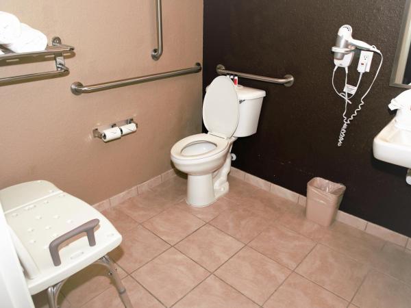 Microtel Inn & Suites by Wyndham Jacksonville Airport : photo 3 de la chambre chambre lit queen-size avec douche accessible en fauteuil roulant - adaptée aux personnes à mobilité réduite/malentendantes - non-fumeurs