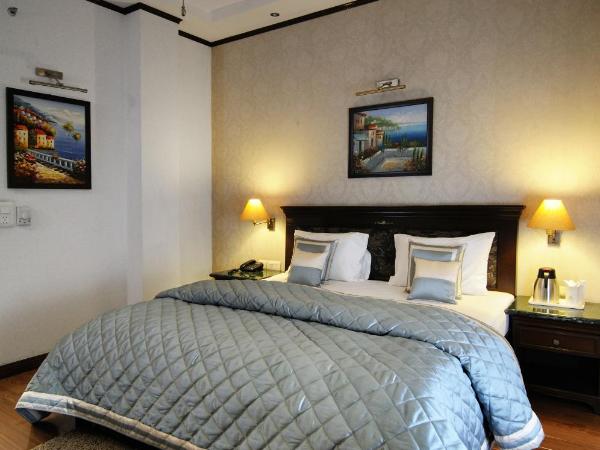 Hotel Diplomat Residency : photo 5 de la chambre chambre double deluxe