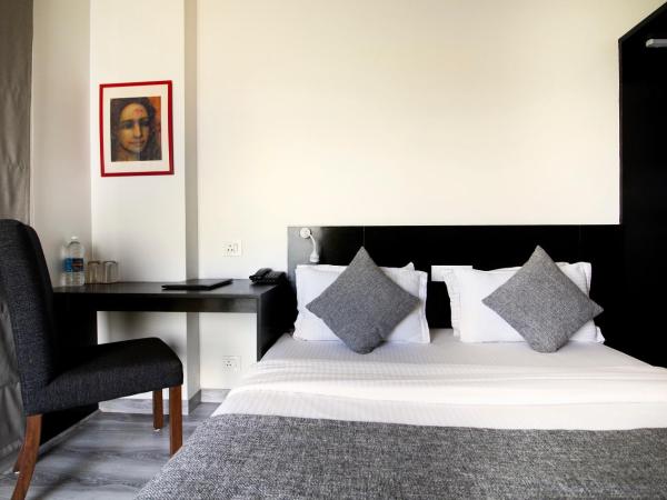 The Saneer Jaipur : photo 1 de la chambre chambre double standard