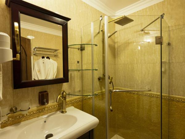 Zámek Lužec Spa & Wellness Resort : photo 9 de la chambre chambre double standard