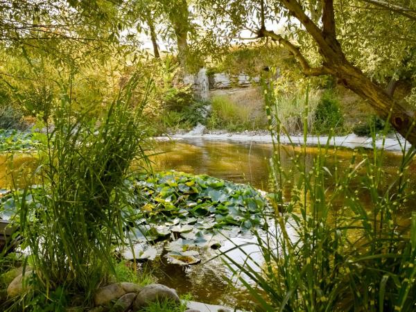 La Campagne St Lazare - Restaurant Chambres d'Hôtes Piscine & SPA : photo 3 de la chambre suite côté jardin - spring side