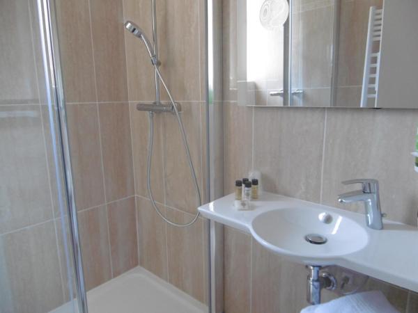 Hôtel La Flore : photo 1 de la chambre chambre double standard