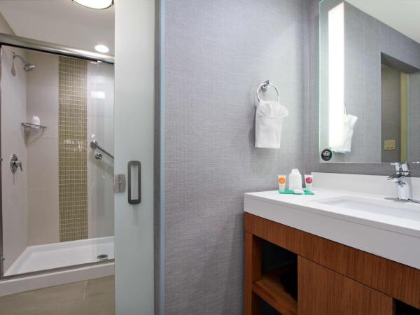 Hyatt Place Houston NW Vintage Park : photo 2 de la chambre suite lit king-size