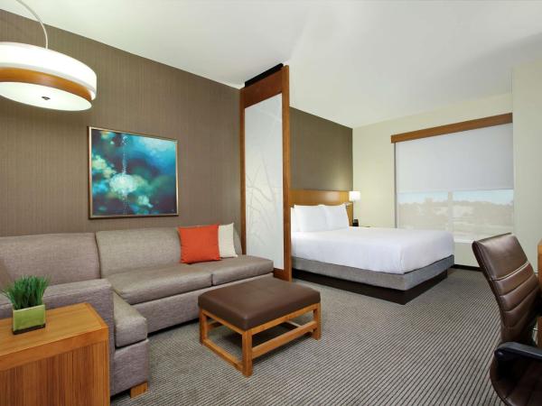 Hyatt Place Houston NW Vintage Park : photo 2 de la chambre chambre lit king-size