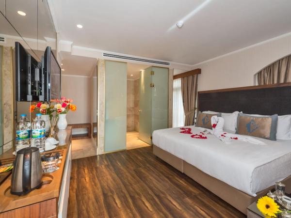 Darkmen Hotel : photo 6 de la chambre chambre double ou lits jumeaux avec lit d'appoint