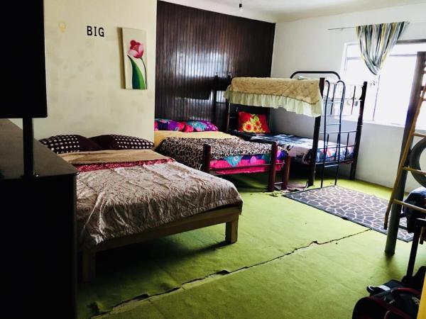 Casa Alsacia : photo 2 de la chambre lit dans dortoir de 8 lits