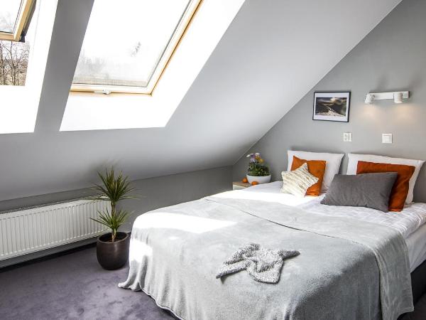 Apartamenty Forma Tatrica : photo 5 de la chambre appartement 1 chambre classique - mansardé