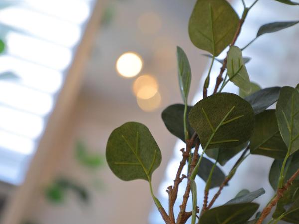 Hotel Landmark Namba(B) : photo 8 de la chambre appartement deluxe