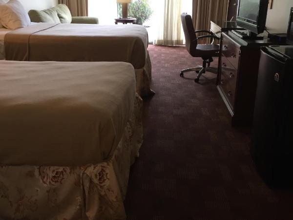 Cheshire Motor Inn : photo 1 de la chambre chambre double