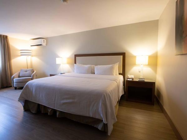 Antaris Valle : photo 6 de la chambre suite standard lit king-size