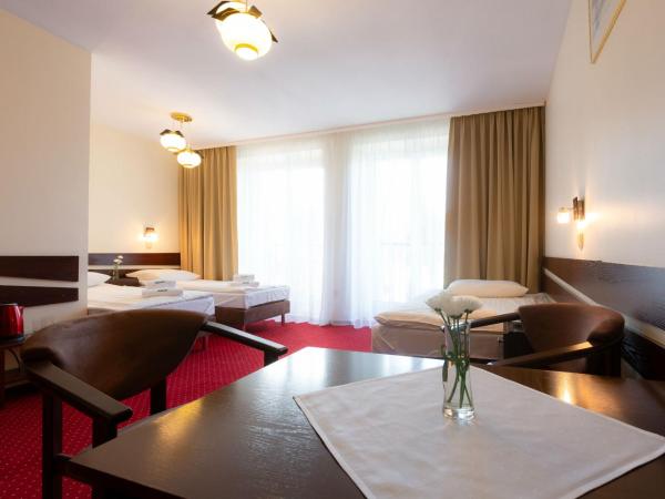 Halny Pensjonat : photo 4 de la chambre chambre triple