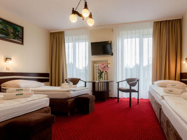 Halny Pensjonat : photo 3 de la chambre chambre quadruple
