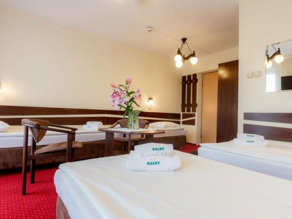Halny Pensjonat : photo 4 de la chambre chambre quadruple