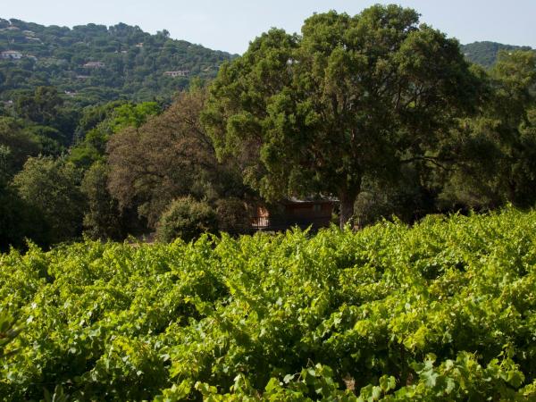 Château de Valmer : photo 4 de la chambre chambre double