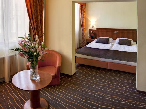 Luxury Family Hotel Bílá Labuť : photo 2 de la chambre suite