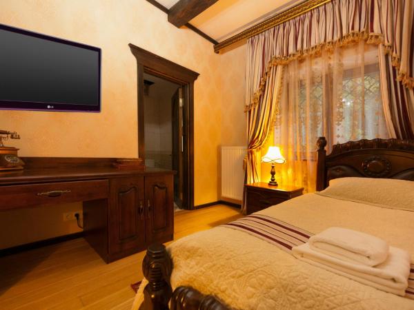 Zámek Lužec Spa & Wellness Resort : photo 4 de la chambre chambre simple