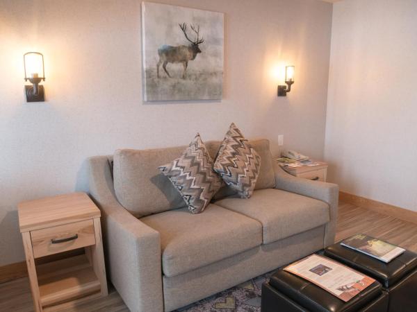 Tunnel Mountain Resort : photo 2 de la chambre studio