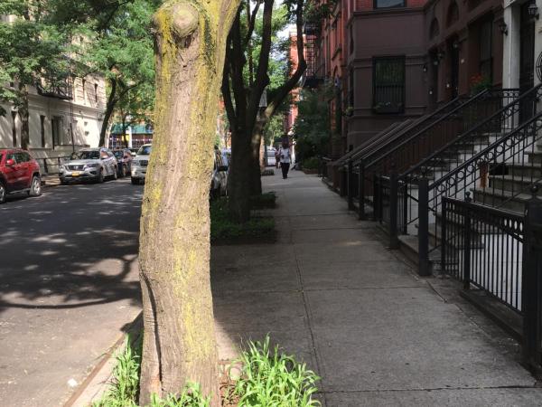 NYC Townhouse Apartment : photo 2 de la chambre chambre double deluxe