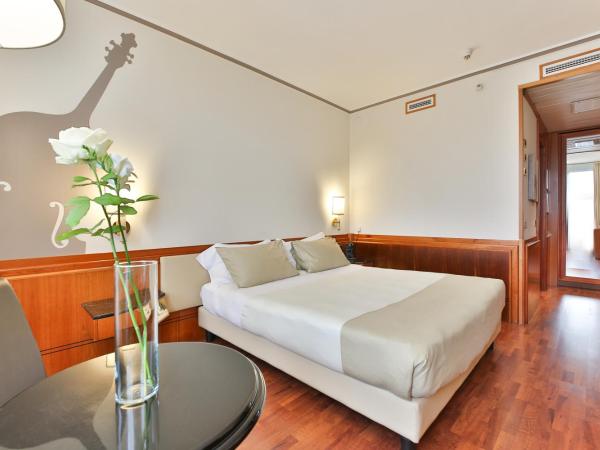 Hotel Leon d'Oro : photo 1 de la chambre grande chambre double