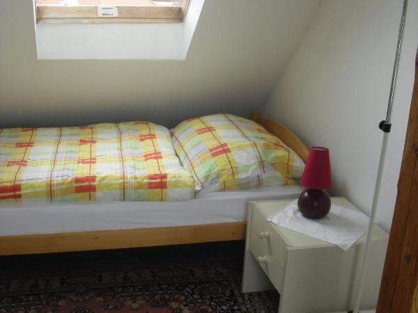 Pension Hanspaulka : photo 5 de la chambre chambre double standard