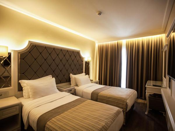 Miss Istanbul Hotel & Spa : photo 3 de la chambre chambre lits jumeaux