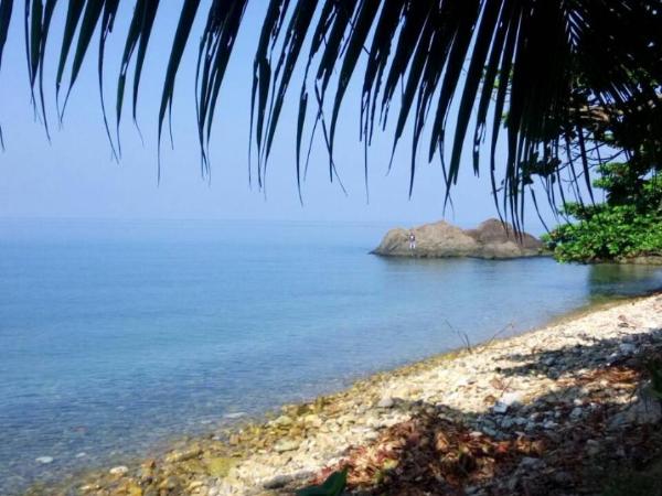 Paradise Palms : photo 6 de la chambre bungalow - vue sur mer 