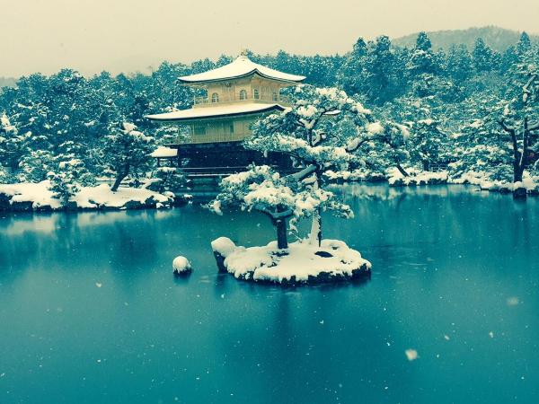 International Guest House Tani House : photo 2 de la chambre chambre quadruple de style japonais