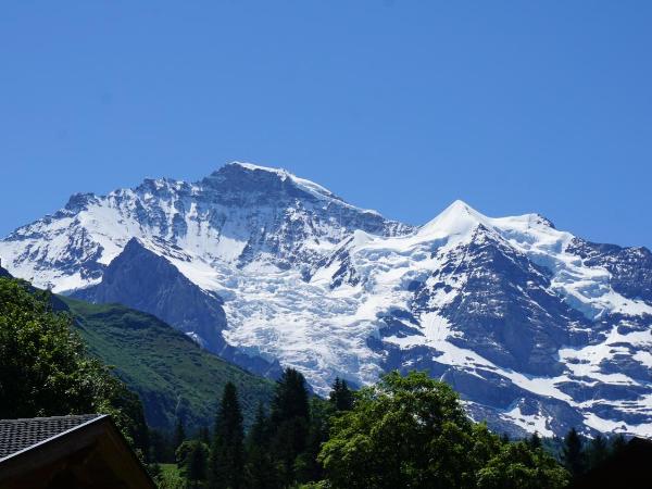 Hotel Bären - the Alpine Herb Hotel : photo 5 de la chambre chalet 2 chambres