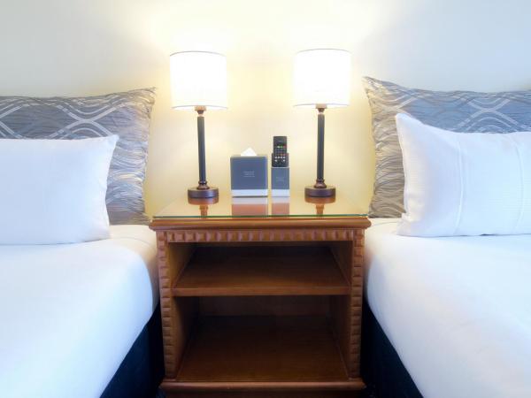 Soho Brisbane : photo 5 de la chambre chambre lits jumeaux standard