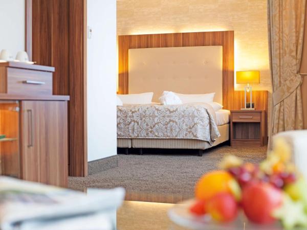 Best Western Plus Hotel Böttcherhof : photo 1 de la chambre premium plus double room with 1 double bed