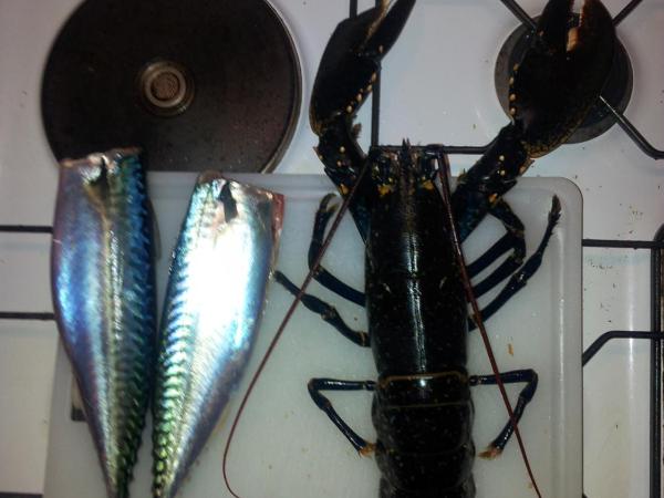 Chambre spacieuse, moderne et très confortable à Perros-Guirec : photo 8 de la chambre chambre double ou lits jumeaux avec salle de bains privative