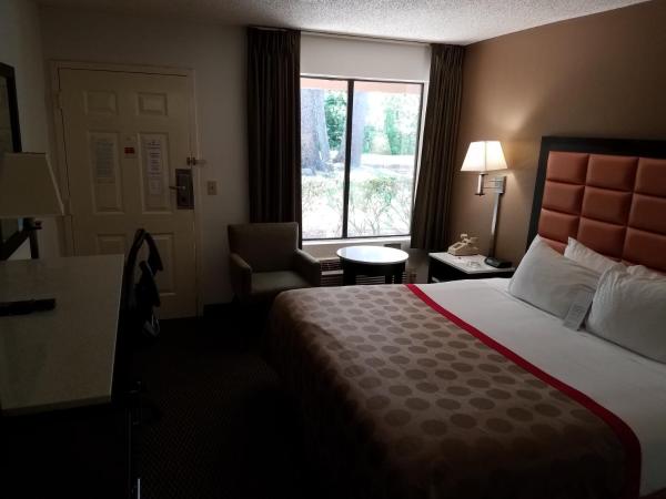 Ramada by Wyndham Temple Terrace/Tampa North : photo 5 de la chambre chambre lit king-size - non-fumeurs