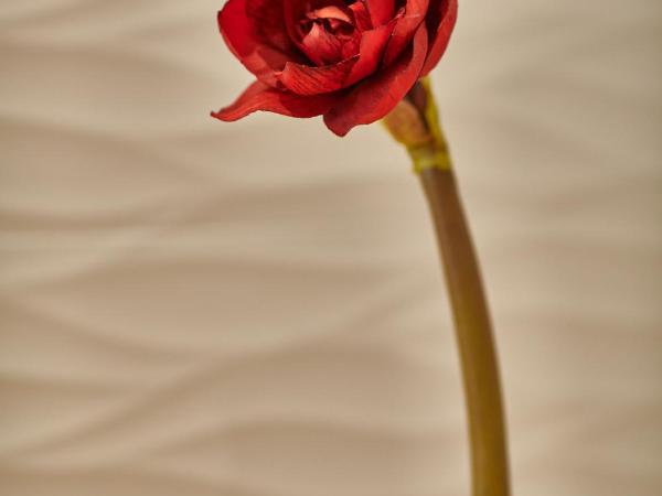 Maison de la Garenne & Spa : photo 2 de la chambre chambre double deluxe