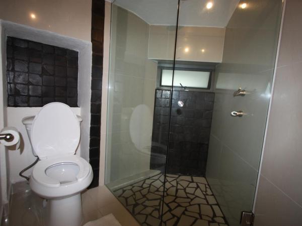 Aztic Hotel and Executive Suites : photo 4 de la chambre chambre Économique standard