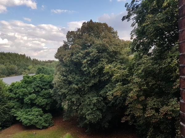 Château Moulinsart Hotel-Resto-Long Term Parking, shuttle airport, snooker, large terrasse : photo 1 de la chambre chambre lit king-size - vue sur jardin