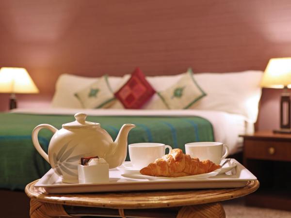 Hanu Reddy Residences Wallace Garden : photo 3 de la chambre studio