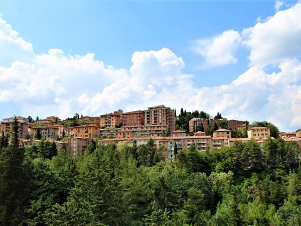 Ilgo Hotel : photo 1 de la chambre chambre double ou lits jumeaux supérieure avec terrasse