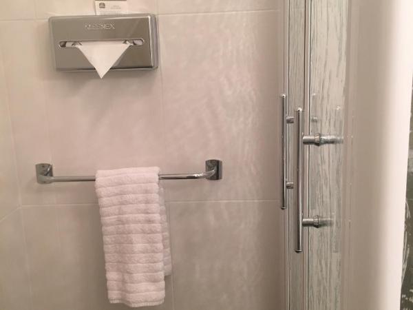 Best Western Le Vinci Loire Valley : photo 4 de la chambre chambre lits jumeaux supérieure