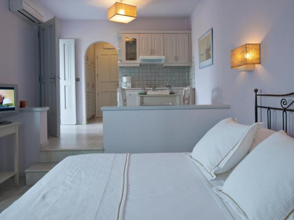 Ammos Naxos Exclusive Apartments & Studios : photo 1 de la chambre appartement 1 chambre
