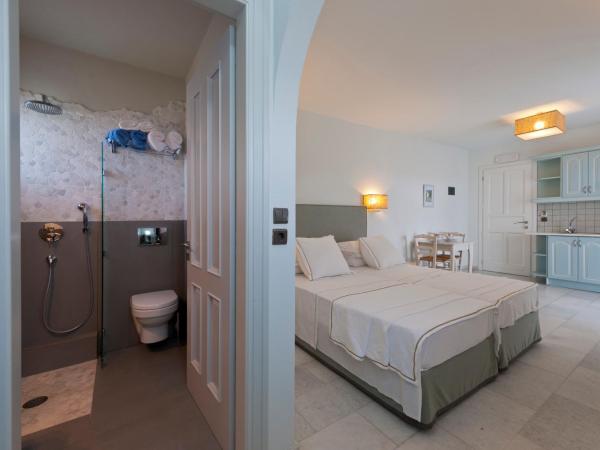 Ammos Naxos Exclusive Apartments & Studios : photo 4 de la chambre chambre double ou lits jumeaux deluxe avec balcon