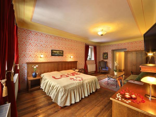 Hotel Edward Kelly : photo 1 de la chambre chambre double deluxe avec vue sur château