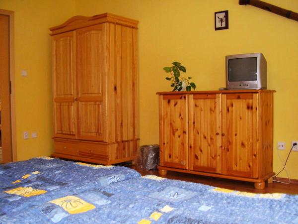 Penzion Olga : photo 1 de la chambre chambre simple